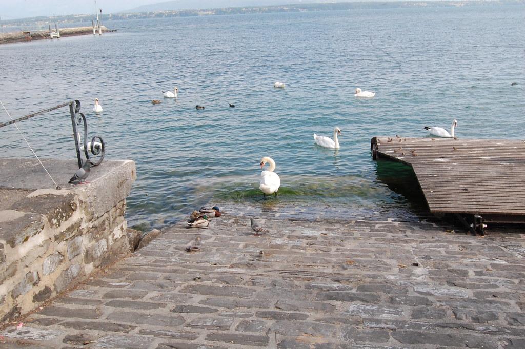 Les bains mixtes sont-ils courants au Japon ?