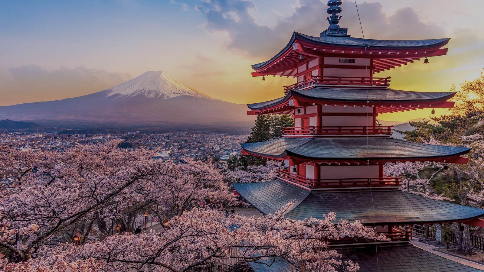 Puis-je voyager au Japon si je ne parle qu’anglais ?