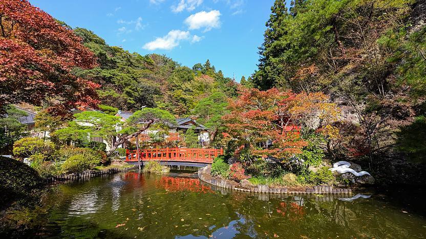 Qu’est-ce que l’Oya japonais ?