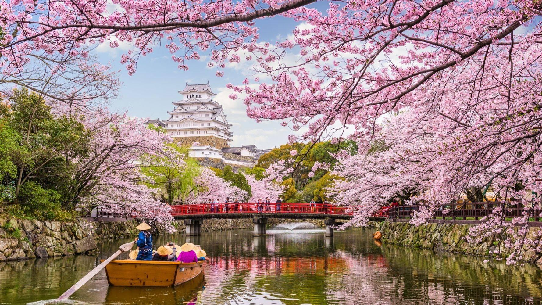 Est-il sûr de voyager au Japon ?