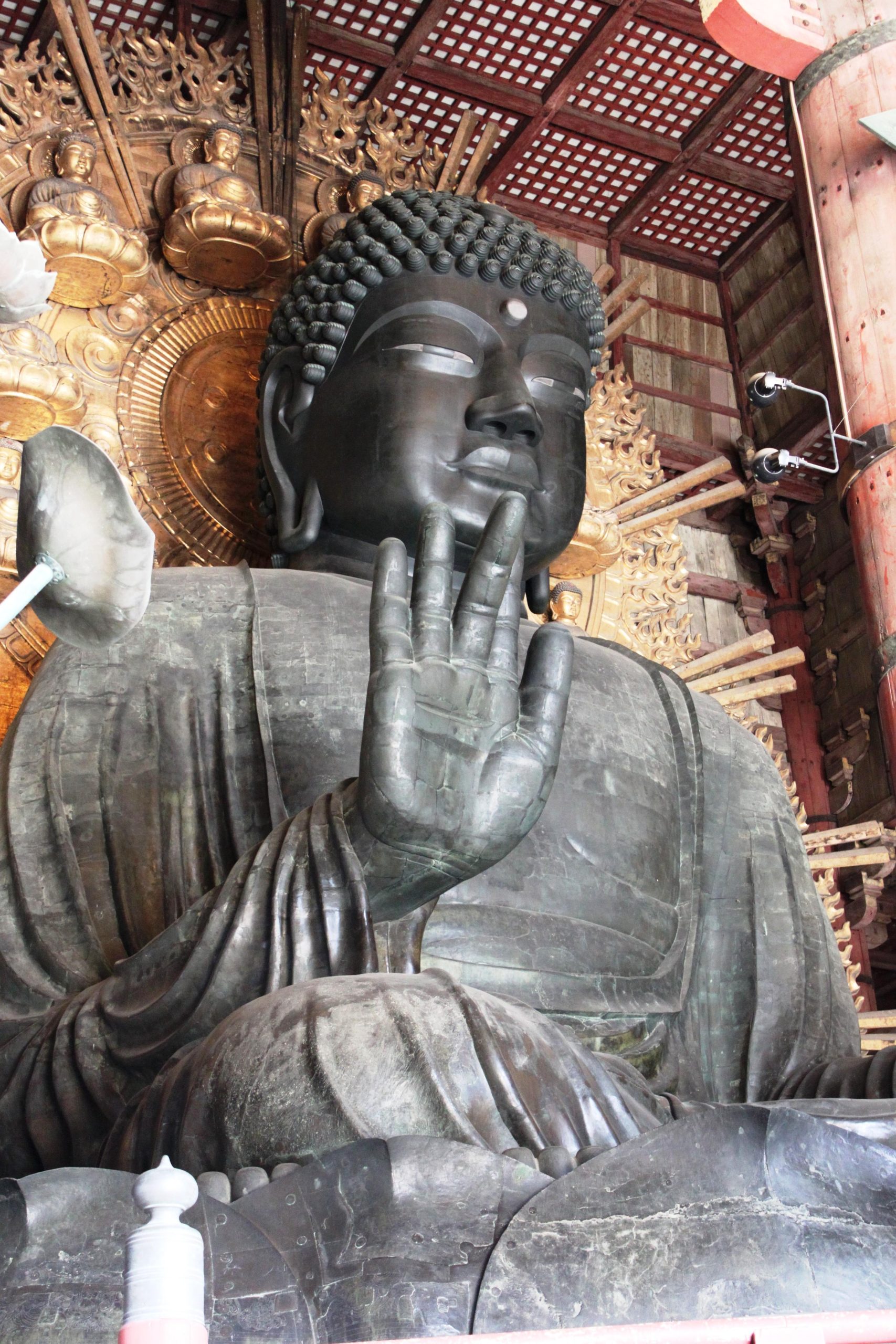 Pourquoi certains Japonais sont-ils si grands ?