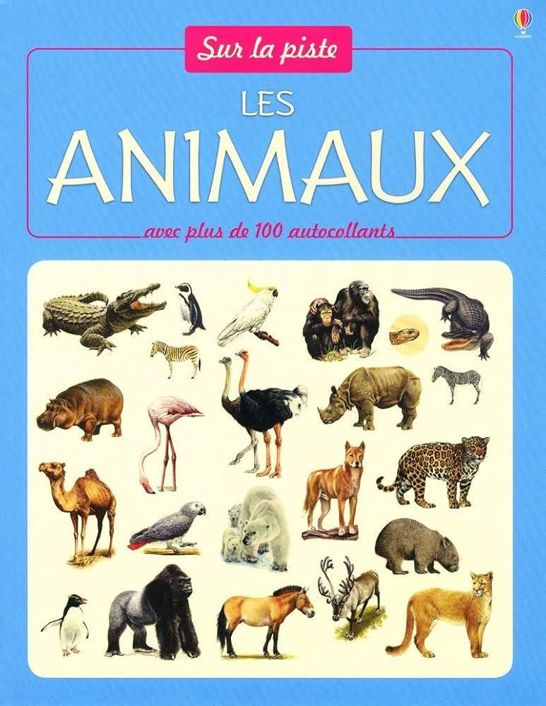Les animaux sont-ils bien traités au Japon ?