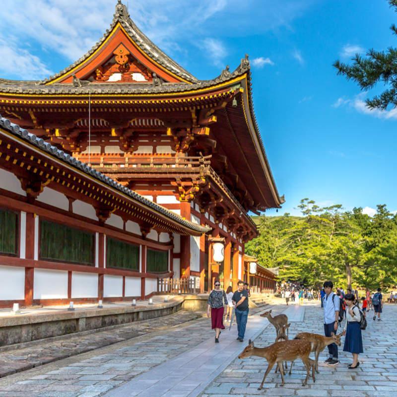 Le Japon vous paie-t-il pour y vivre ?