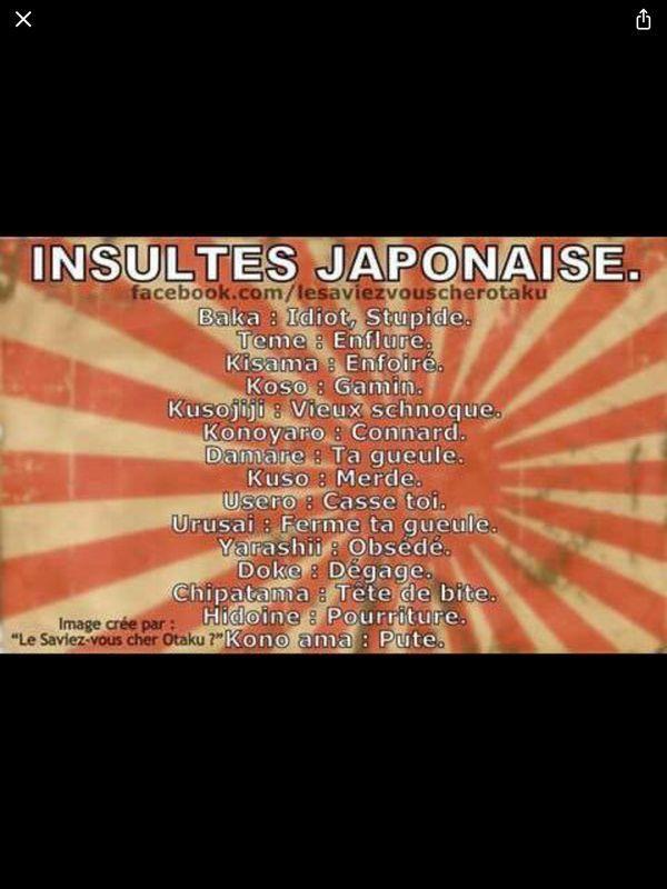 Qu’est-ce qu’une insulte en japonais ?