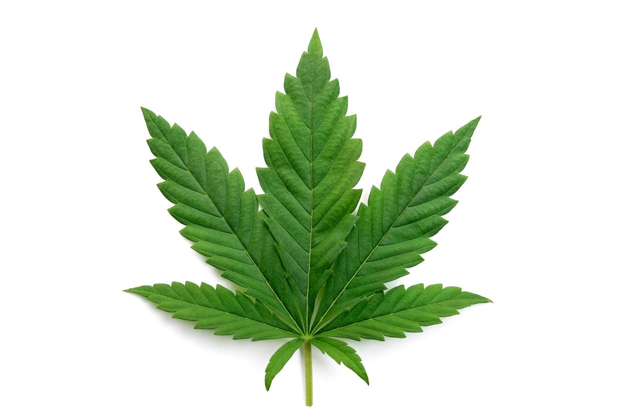 Le Japon autorise-t-il la marijuana ?