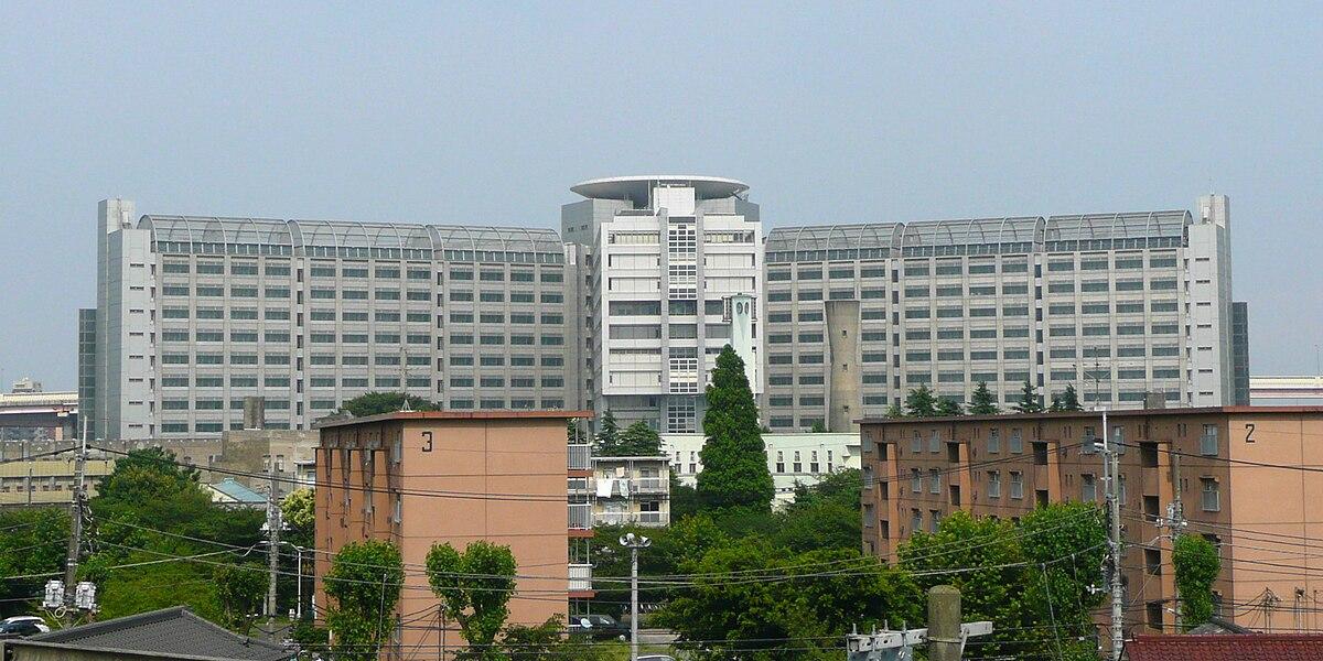 Quel a été le crime le plus grave au Japon ?