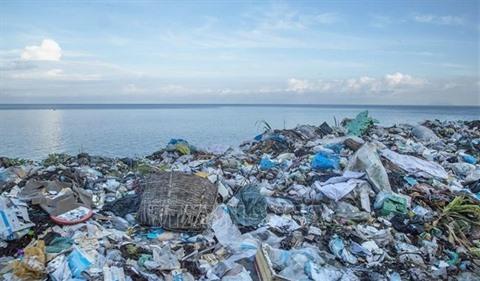 Quel est le problème environnemental majeur au Japon ?