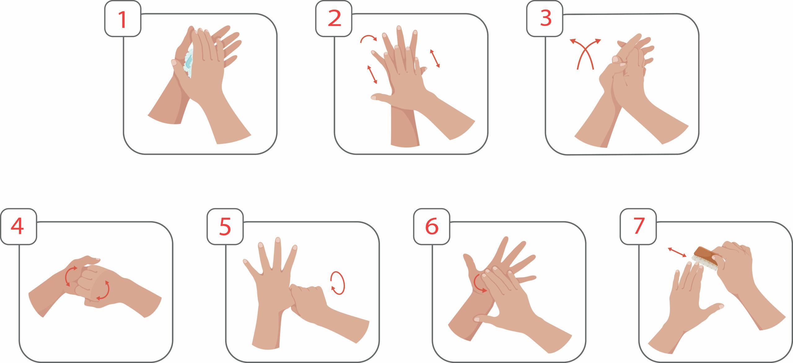 Les Japonais se lavent-ils les mains ?