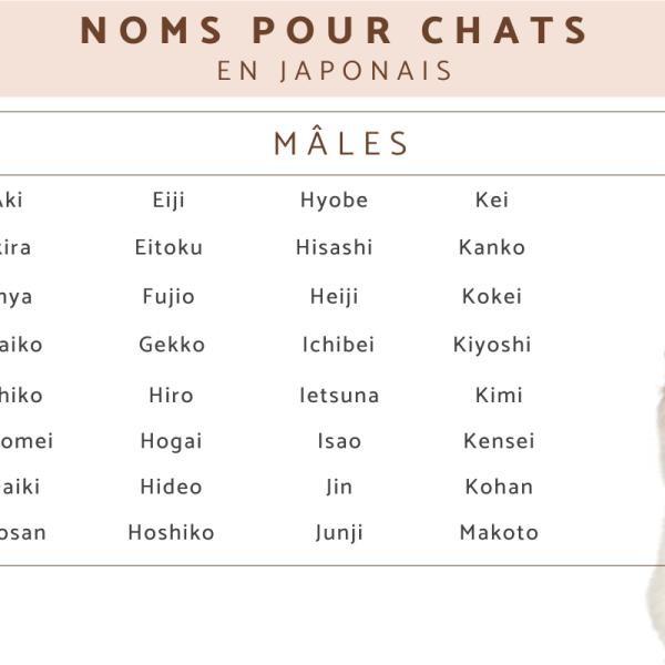 Quel est un bon nom de famille féminin japonais ?