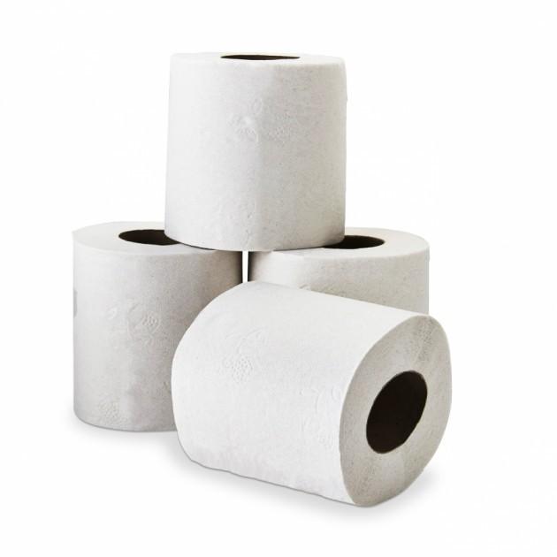 Qu’utilisent les Japonais à la place du papier toilette ?