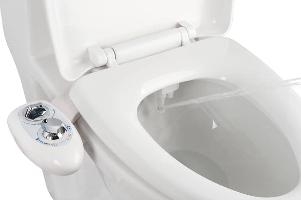 Les Japonais sont-ils hygiéniques ?