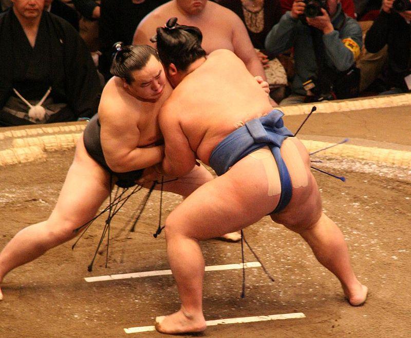 Quel est le sport national du Japon ?