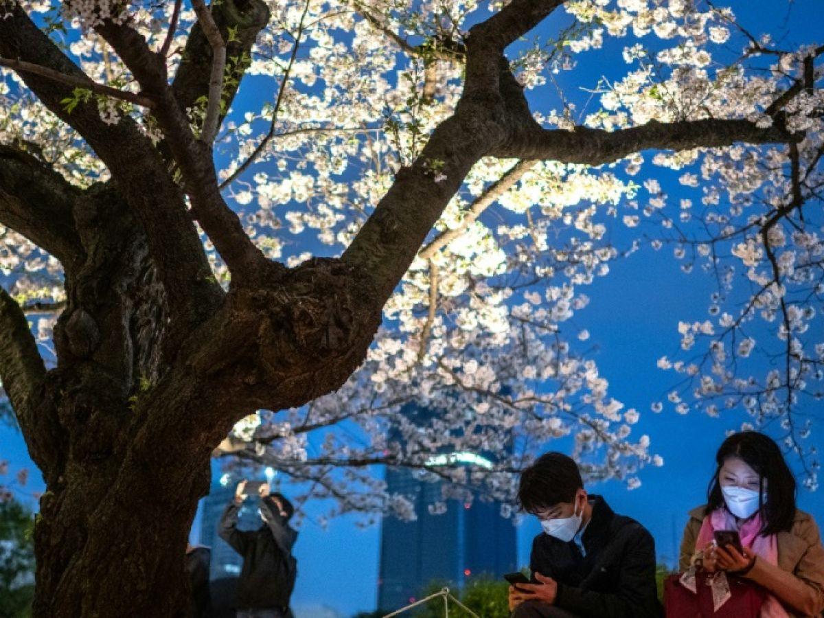 Que signifient 3 éternuements au Japon ?