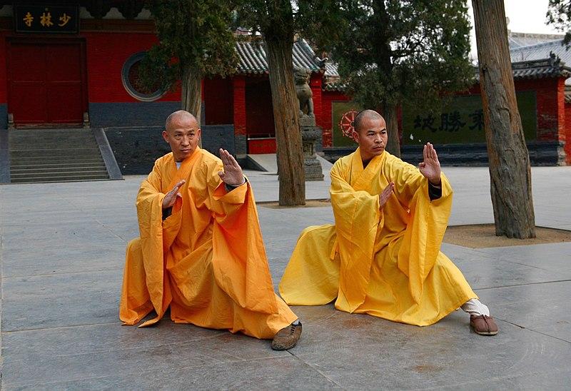Qu’est-ce que Shifu Japon ?