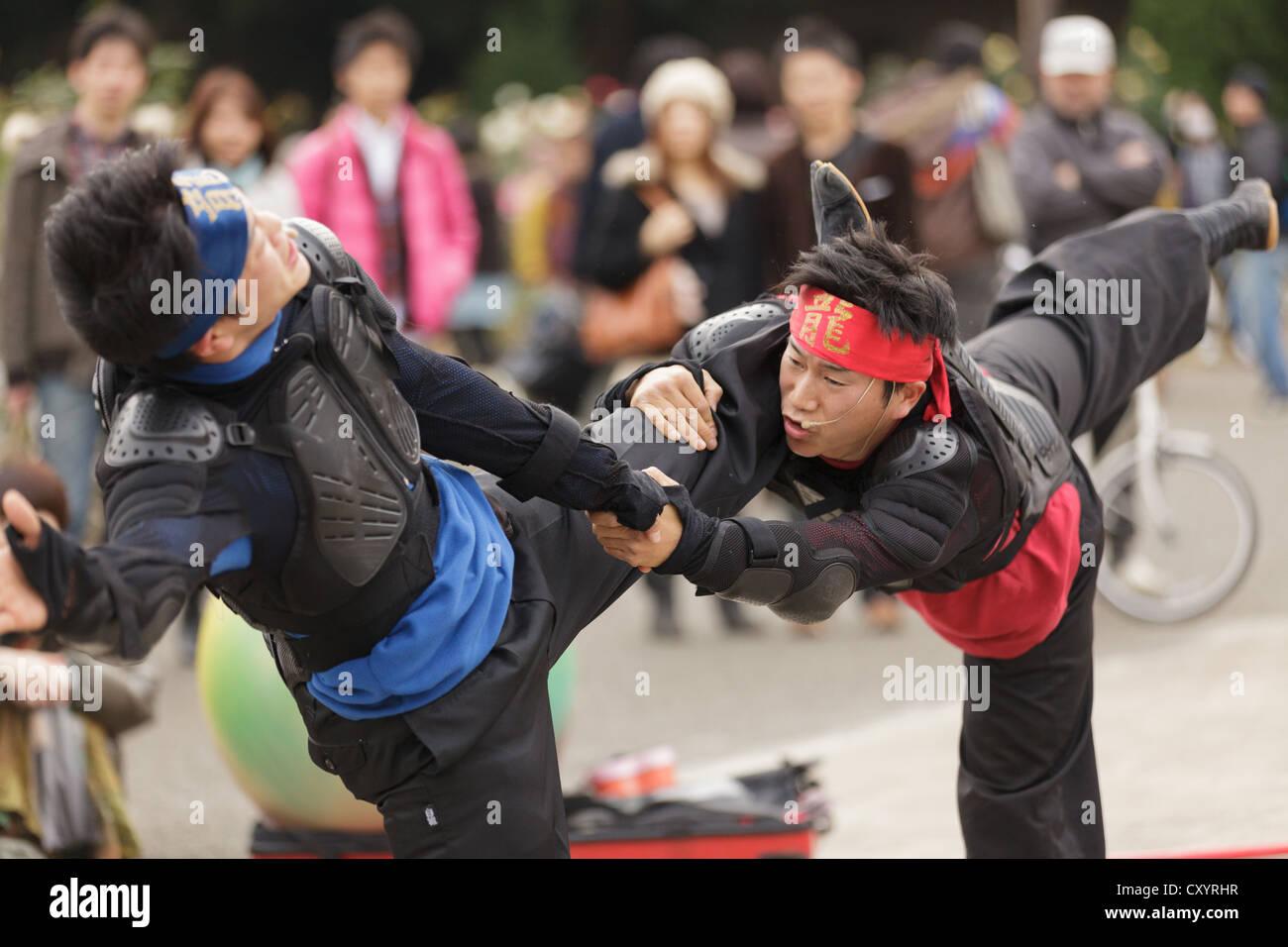 Comment s’appelle le kung fu au Japon ?