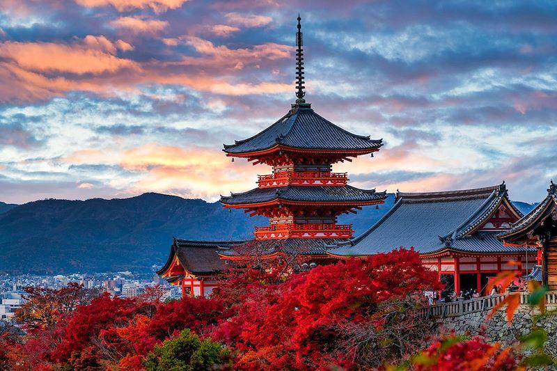 Pourquoi je veux aller au Japon ?