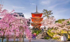 Quelle est la jolie ville au Japon ?